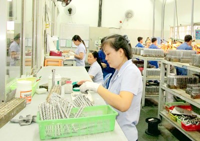 A FDI firm in Tan Thuan Export Processing Zone, HCMC (Photo: SGGP)